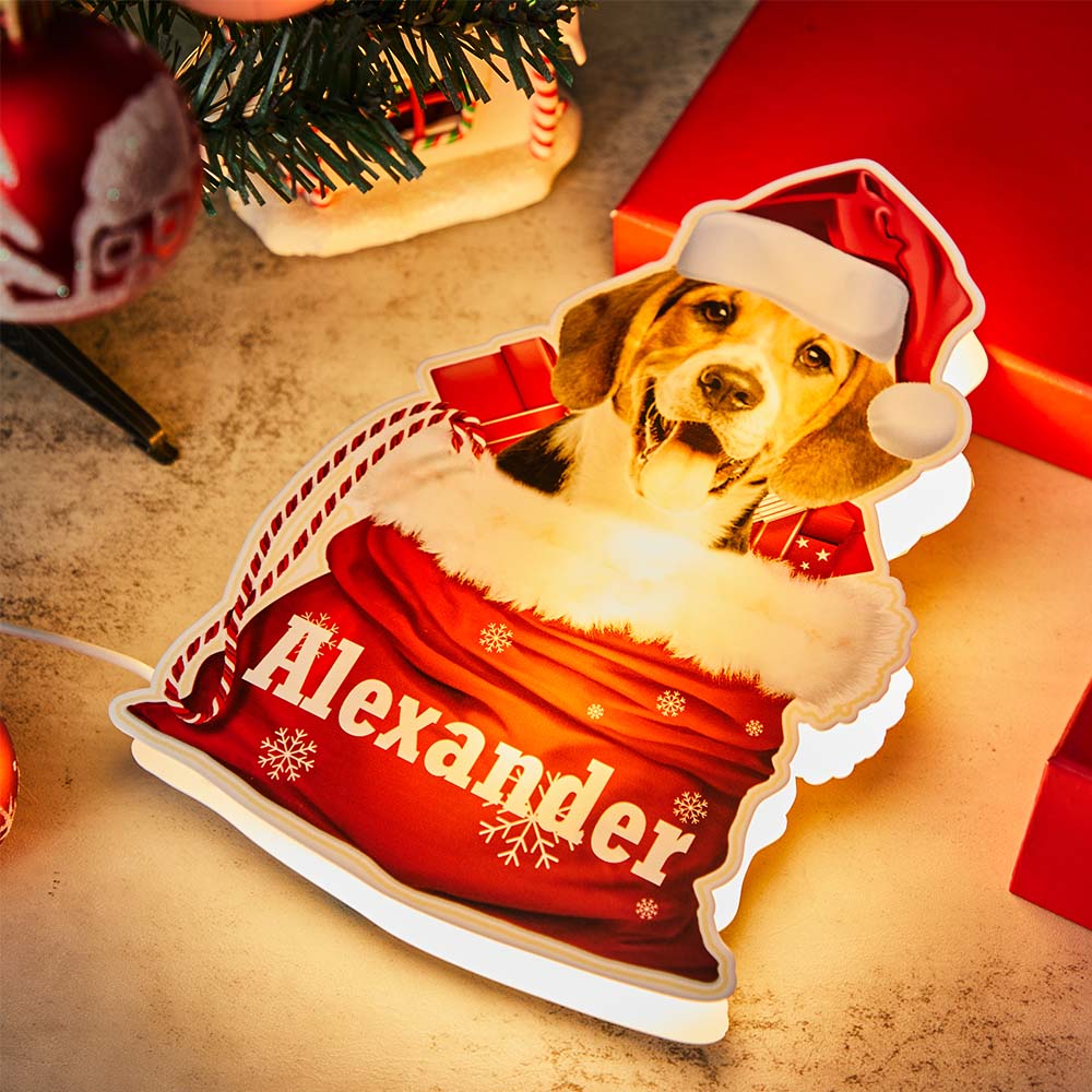 Custom pet night light with dog and Santa hat, personalized 'Alexander'. Christmas gift.