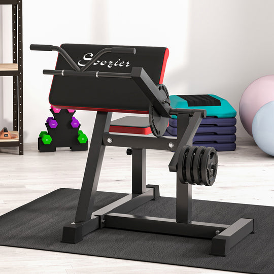 Adjustable Bicep & Tricep Curl Bench